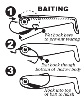 How to Fish a Hollow Body Swimbait