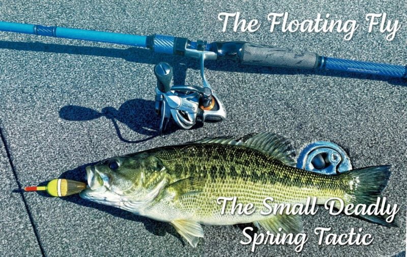 How to Fish a Float 'N' Fly for Bass
